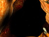 fotogramas audiovisual