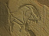 fotogramas audiovisual