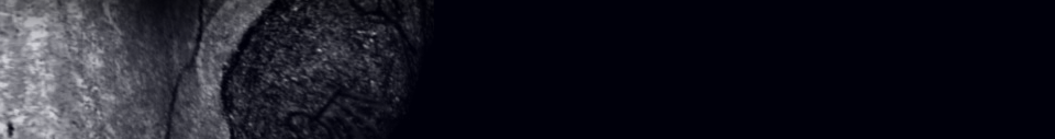 franja_inicial_troglo